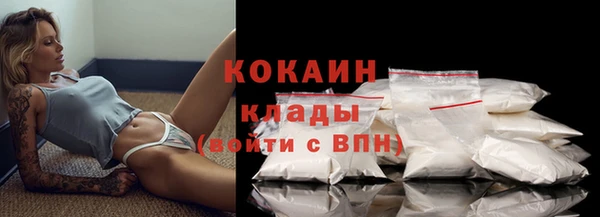 твердый Михайлов