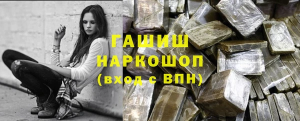 прущий лед Алзамай