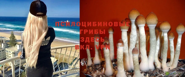твердый Михайлов